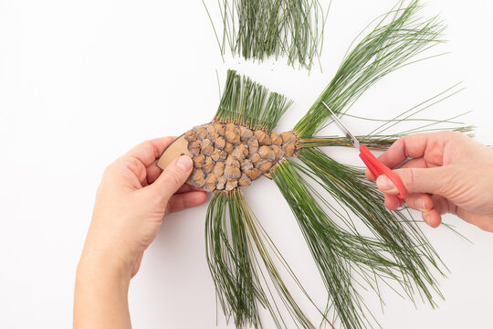Hands cutting pine cone fish craft with red scissors. Flat lay DIY for educational, kids activity, creative lesson. Woman hands, top view, nature inspired art project, learning process,