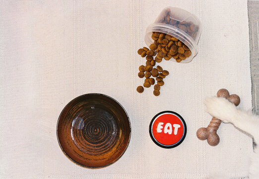 Composition with a dog's paw, a bowl of dog food and a button.