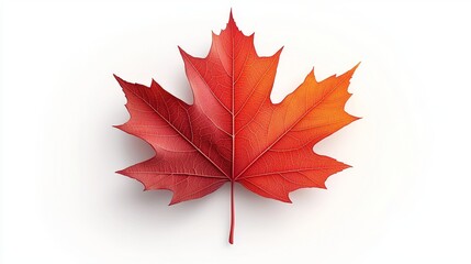 Autumn maple leaf illustration, gradient from rich red to warm orange, finely detailed veins and edges, floating on white, bold seasonal design