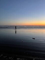 Fototapeta premium walking on beach at sunset