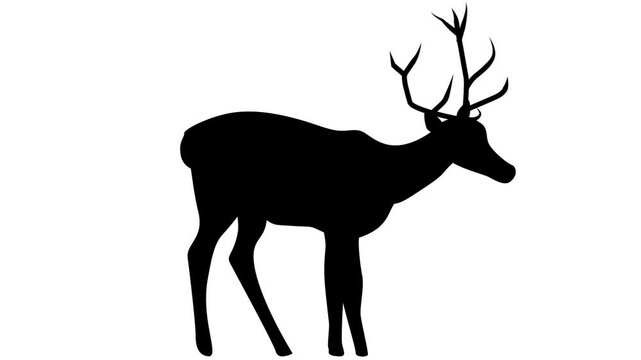drinking deer animated silhouette, moving wildlife loop cutout style, black matte on white background