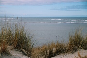 Beach landscape, view from the dunes