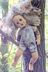 one gray brown dirty old doll toy hanging on a branch of a gray tree in a summer forest