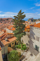 Aerial View of the Old town Dubrovnik from defensive walls