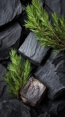 Gourmet cuisine: flat lay of roasted french lamb chops with fresh rosemary on slate background