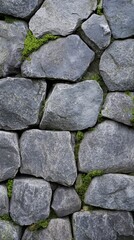Nature's resilience: moss growing on stone cobbles in tranquil outdoor setting