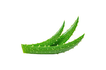 Exploring the Natural Benefits and Uses of Aloe Vera A Deep Dive into Its Health and Beauty Properties
