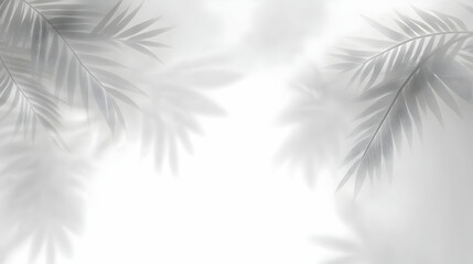 Obraz premium Palm Leaf Shadow Overlay Abstract Background