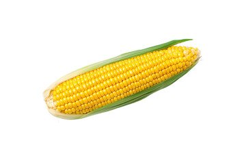 Fresh and Delicious Corn on the Cob A Nutritious Addition to Your Meals