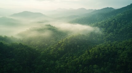 Obraz premium Serene Aerial View of Lush Green Mountains and Misty Valleys