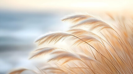 Obraz premium Feathery Grass Blades in Soft Light - Nature Photo