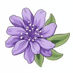 Fototapeta premium A vibrant purple flower with lush green leaves, blooming in a sunny spring garden