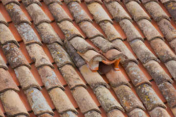 Traditional Terracotta Roof Tiles in Dubrovnik