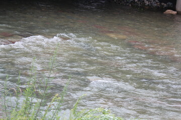 Image of strong waves in the clear water of Daecheongcheon