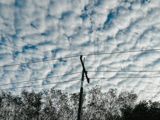 Electrical pole with  bright   sky and trees