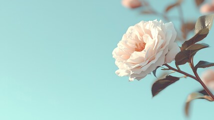 Closeup of beautiful pale pink rose with soft green leaves against light blue background showcasing natural elegance of flower captured in gentle light
