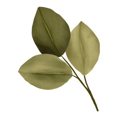 Green Leaf Illustration