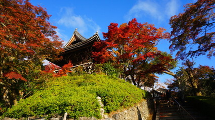 善峯寺の紅葉