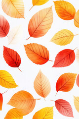 Obraz premium Vibrant autumn leaves in shades of orange, red, and yellow create beautiful pattern on white background, evoking warmth of fall