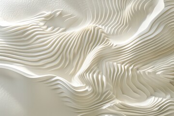 Fototapeta premium The image is a white and black abstract painting of a wave