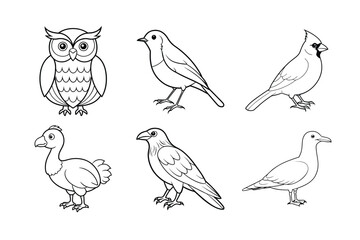 Obraz premium line art vector illustration of six birds: Owl, Robin, Cardinal, Dodo, Raven, Seagull