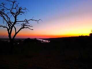 Obraz premium Sunrise in Chobe river, Botswana