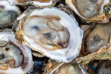 Fresh oysters and dipping sauce
