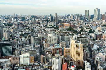 Obraz premium 高層ビルから望む東京の景観