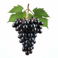 Fototapeta premium bunch of grapes isolated on white