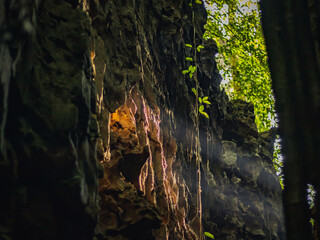 Sunlight enters a rocky jungle crevice with vines and green leaves, creating a dramatic view of...