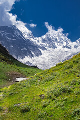 Fototapeta premium Lush green Darma valley with snow covered panchachuli mountain peaks of himalaya from its base camp. The meadow or grassland covered with flowers.