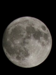 Naklejka premium moon