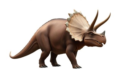 Fototapeta premium Triceratops dinosaur with three horns and frill on white background, majestic, natural, herbivore