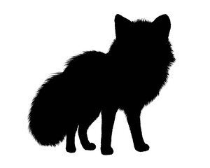Obraz premium Fox black silhouette png isolated transparent and white background 