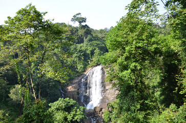 Obraz premium Small waterfall over the rocks in a green forest hill
