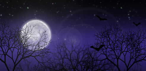 Night landscape with moon and stars.