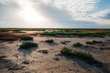 the dried-up salt lake of Ebeyty turned into a desert