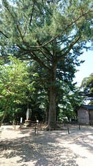 Fototapeta premium 島根