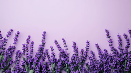 Obraz premium Stunning Arrangement of Vibrant Purple Lavender