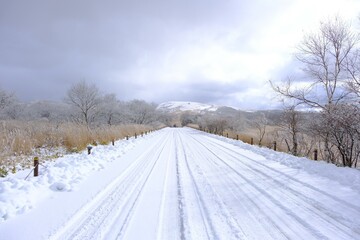 真っ白な雪景色