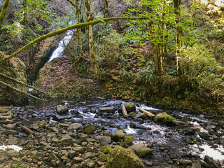 Mountain Creek in Oregon