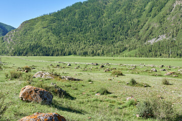 Mountain landscape with green grass and rocks, Mountain Altai. 