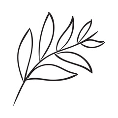 curved branch