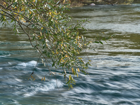Autunno sul Fiume Tirino nel Parco Nazionale del Gran Sasso - Capestrano (AQ)
