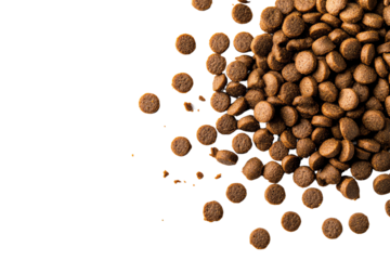Brown dry pet food kibble scattered on a white background.