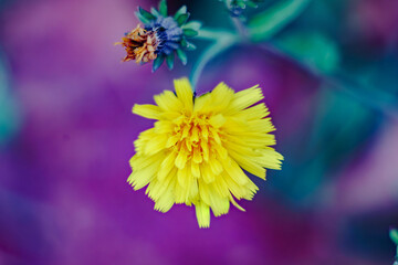 Autumn mood frozen in photographs