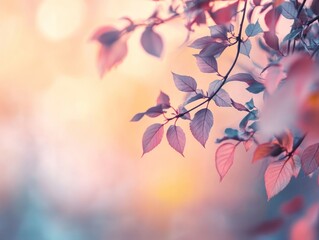 Obraz premium Softly lit leaves with a dreamy background, evoking tranquility and nature's beauty.