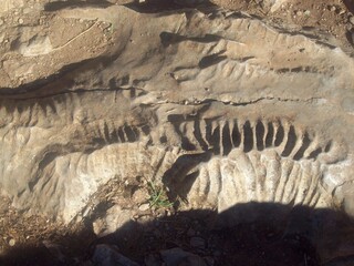 Erosion del agua