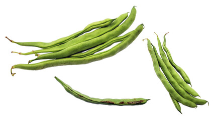 インゲンの切り抜き素材／green bean cutout material／콩의 자르기 소재／PNG