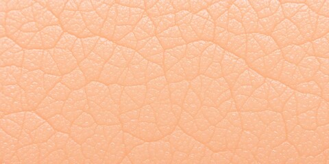 Fototapeta premium Close-up image of a textured skin surface with visible pores and wrinkles, macro, body, surface
